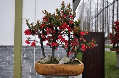 /UploadFiles/image/2016-08-31/57c63f15a41da.jpg t01fb45ebb43c772167.jpg