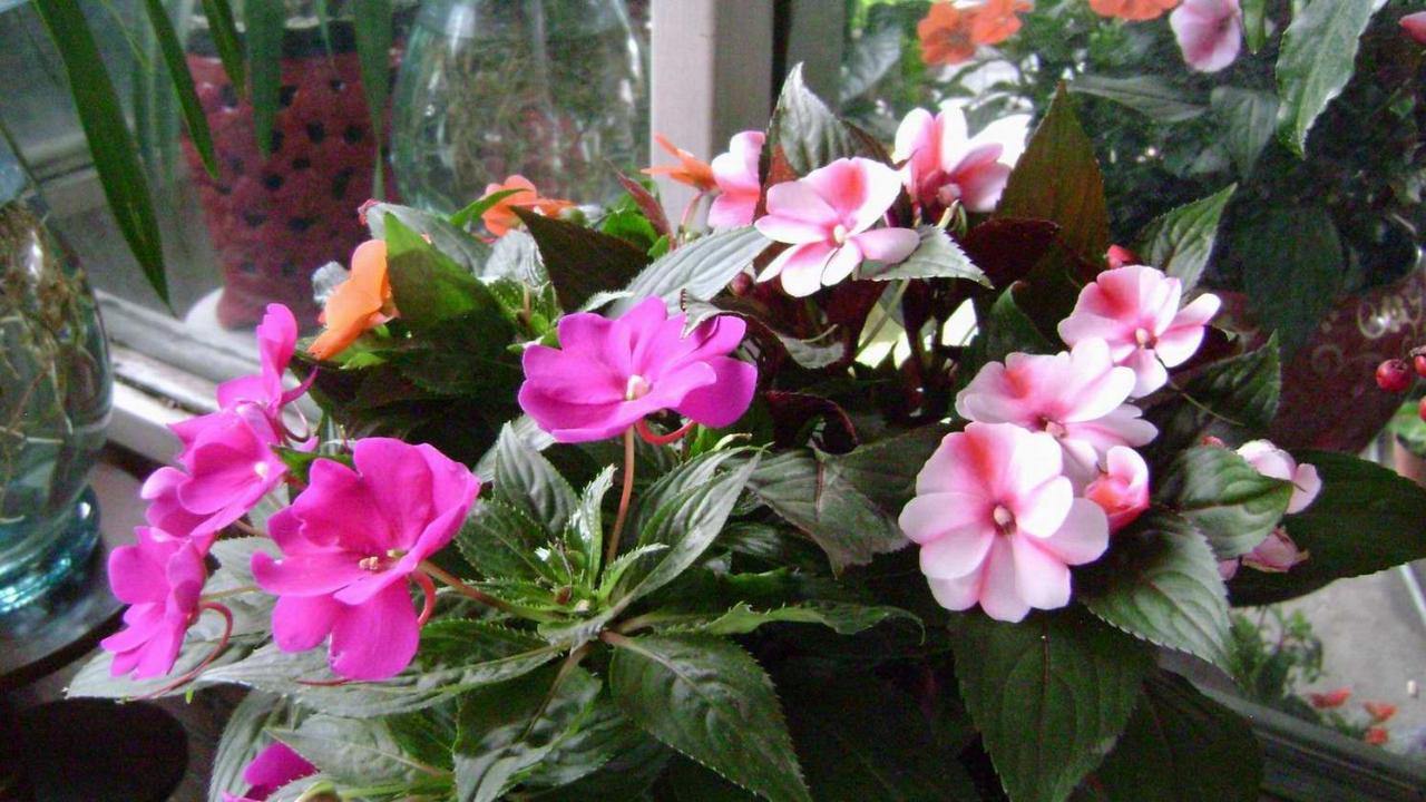 /UploadFiles/image/2016-10-10/57fb2cc2d761b.jpg 20120617193241046.jpg