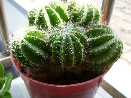 /UploadFiles/image/2016-10-11/57fc7eab9c7aa.jpg d4bed9e070c312040eca40.jpg