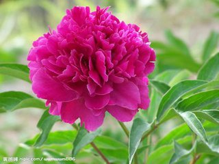 /UploadFiles/image/2016-10-17/58043f95ec946.jpg t0146f48c62fed716ad.jpg