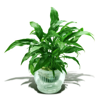 /UploadFiles/image/2016-10-21/58096e96a0b4d.jpg rBEGEE-ZBTgIAAAAAAORGw_98YMAAANFQKE9ewAA5Ez640.jpg