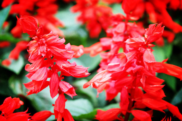 /UploadFiles/image/2016-10-22/580abe96286a5.jpg 未标题-5.jpg