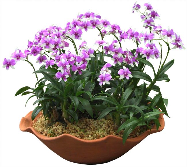 /UploadFiles/image/2016-10-25/580eb9b13725a.jpg 09060901026347f05404df9f35.jpg