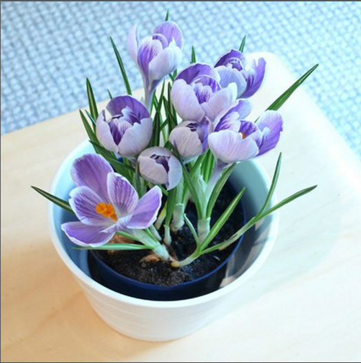 /UploadFiles/image/2016-10-31/58169d7554041.png 1.png