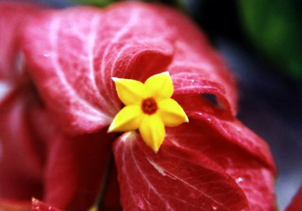 /UploadFiles/image/2016-11-28/583b8ce7666c5.jpg 未标题-1.jpg