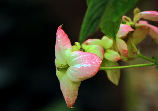 /UploadFiles/image/2016-11-28/583b8cfb238c5.jpg 未标题-2.jpg