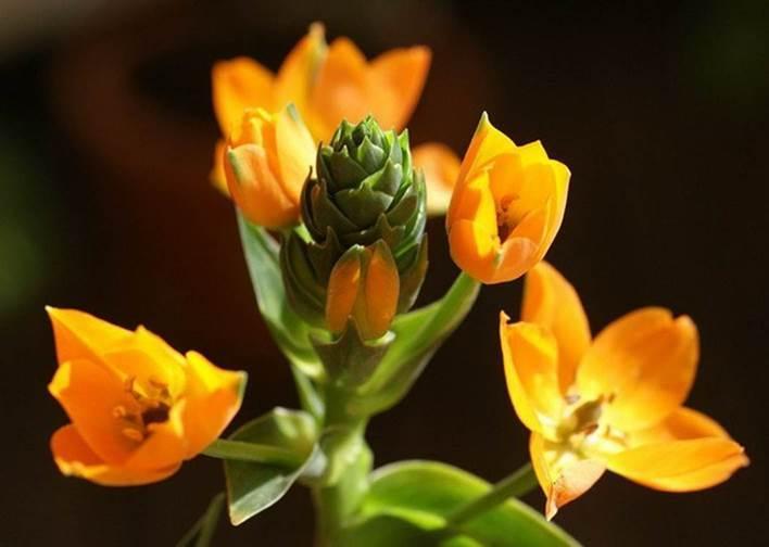 /UploadFiles/image/2017-10-07/59d8397555d5b.jpg 6e0nUiMH26LEMJ2qVVeOX0S6DJOq0K9hg3KKads5PxObP1507289591476.jpg