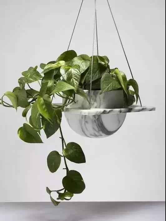 /UploadFiles/image/2018-05-31/5b0fb42eadd80.jpg 微信图片_20180531163411.jpg