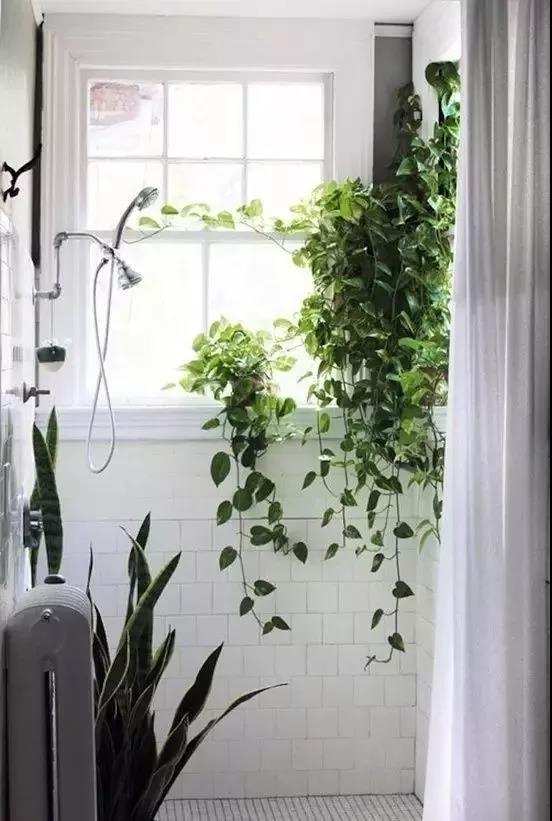 /UploadFiles/image/2018-05-31/5b0fb43d7f783.jpg 微信图片_20180531163458.jpg