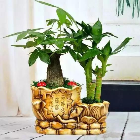 /UploadFiles/image/2018-05-31/5b0fb475ad94e.jpg 微信图片_20180531163511.jpg