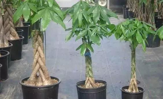 /UploadFiles/image/2018-05-31/5b0fb480ce4f2.jpg 微信图片_20180531163517.jpg