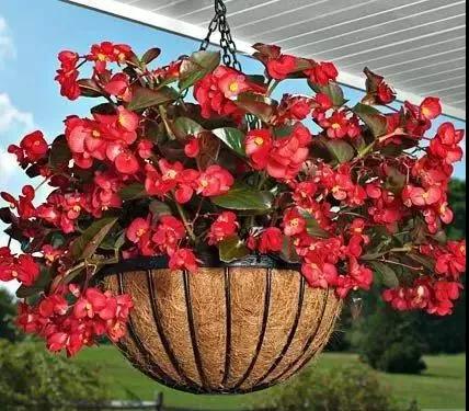 /UploadFiles/image/2018-05-31/5b0fb4ac9dcb6.jpg 微信图片_20180531163525.jpg