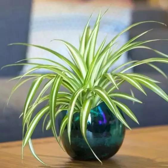 /UploadFiles/image/2018-05-31/5b0fb571471d3.jpg 微信图片_20180531163549.jpg