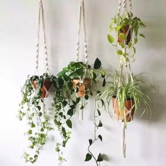 /UploadFiles/image/2018-05-31/5b0fb58bc405c.jpg 微信图片_20180531163554.jpg