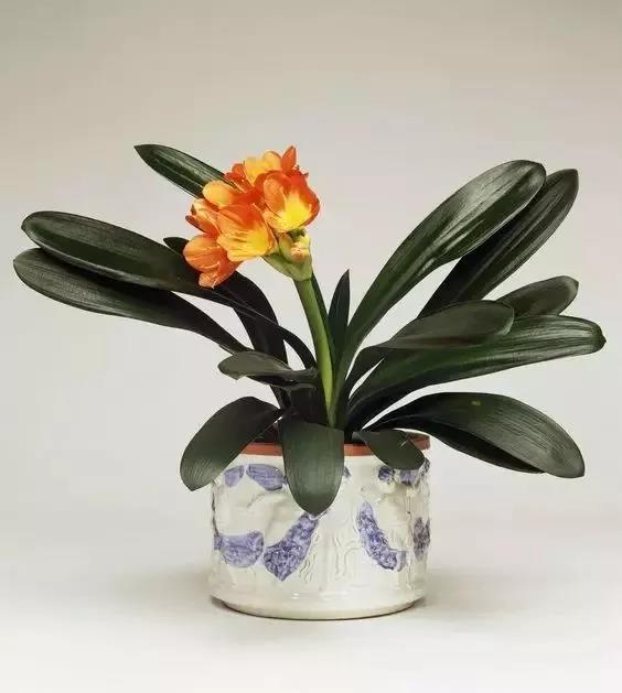 /UploadFiles/image/2018-05-31/5b0fb59c9cb2e.jpg 微信图片_20180531163558.jpg