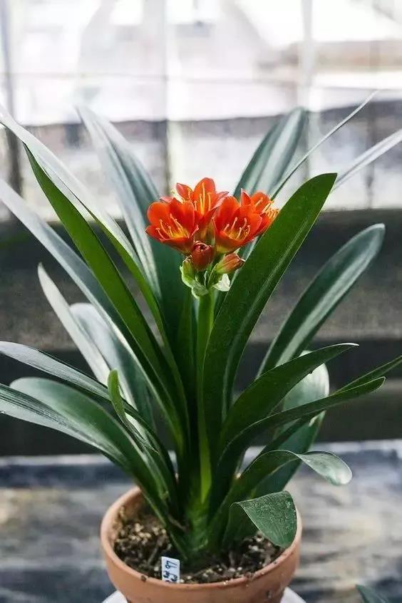 /UploadFiles/image/2018-05-31/5b0fb5a9642e0.jpg 微信图片_20180531163603.jpg