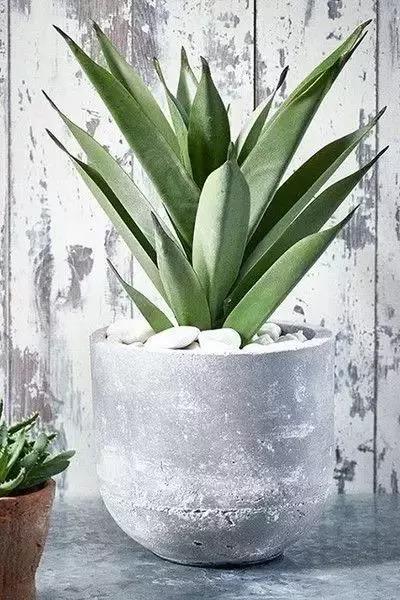 /UploadFiles/image/2018-05-31/5b0fb5d644231.jpg 微信图片_20180531163615.jpg