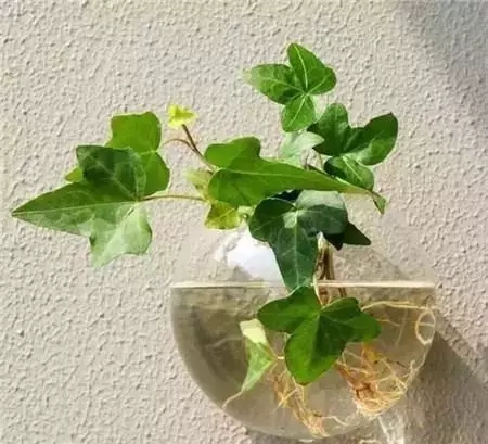 640 (1).webp (1).jpg