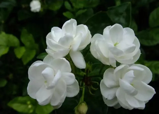 640 (1).webp (2).jpg