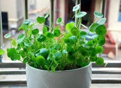 /UploadFiles/image/2018-07-23/5b558d81a93c5.jpg /UploadFiles/image/2018-07-23/5b558d81a93c5.jpg