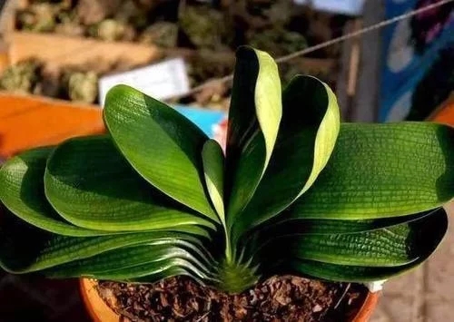 /UploadFiles/image/2018-07-23/5b558e8949e4f.jpg t01f8b05734f69adcf0.webp.jpg