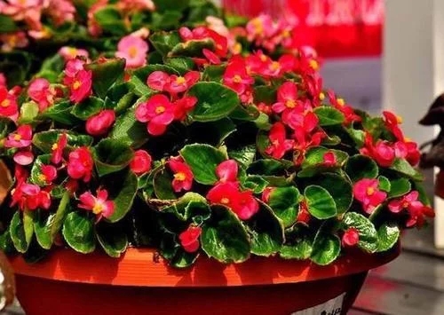 /UploadFiles/image/2018-07-23/5b558e9f88fc3.jpg t0161dfaa229f8875fa.webp.jpg