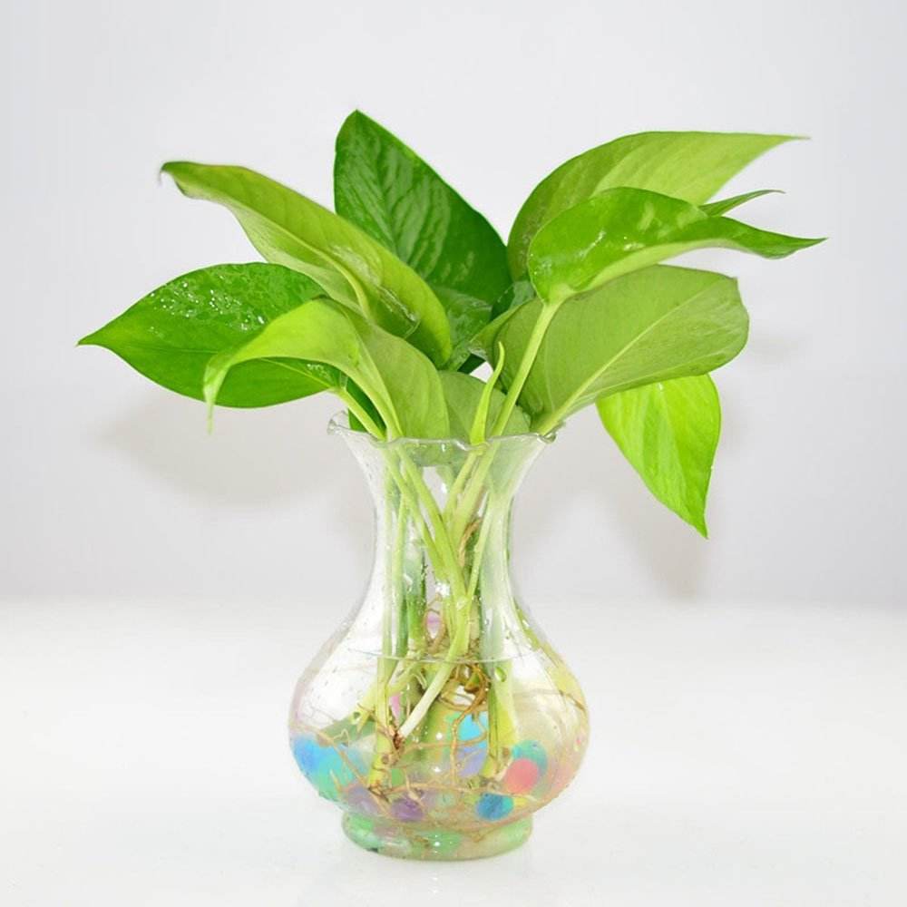 /UploadFiles/image/2018-08-06/5b67ef7d1de8a.jpg /UploadFiles/image/2018-08-06/5b67ef7d1de8a.jpg