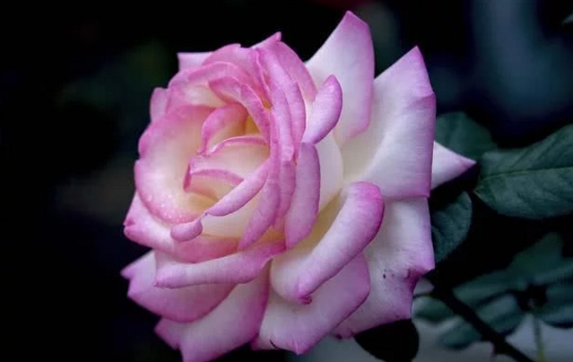 /UploadFiles/image/2018-08-06/5b680c39512a1.png QQ图片20180806165146.png