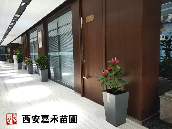 微信图片_20200602081503副本.jpg