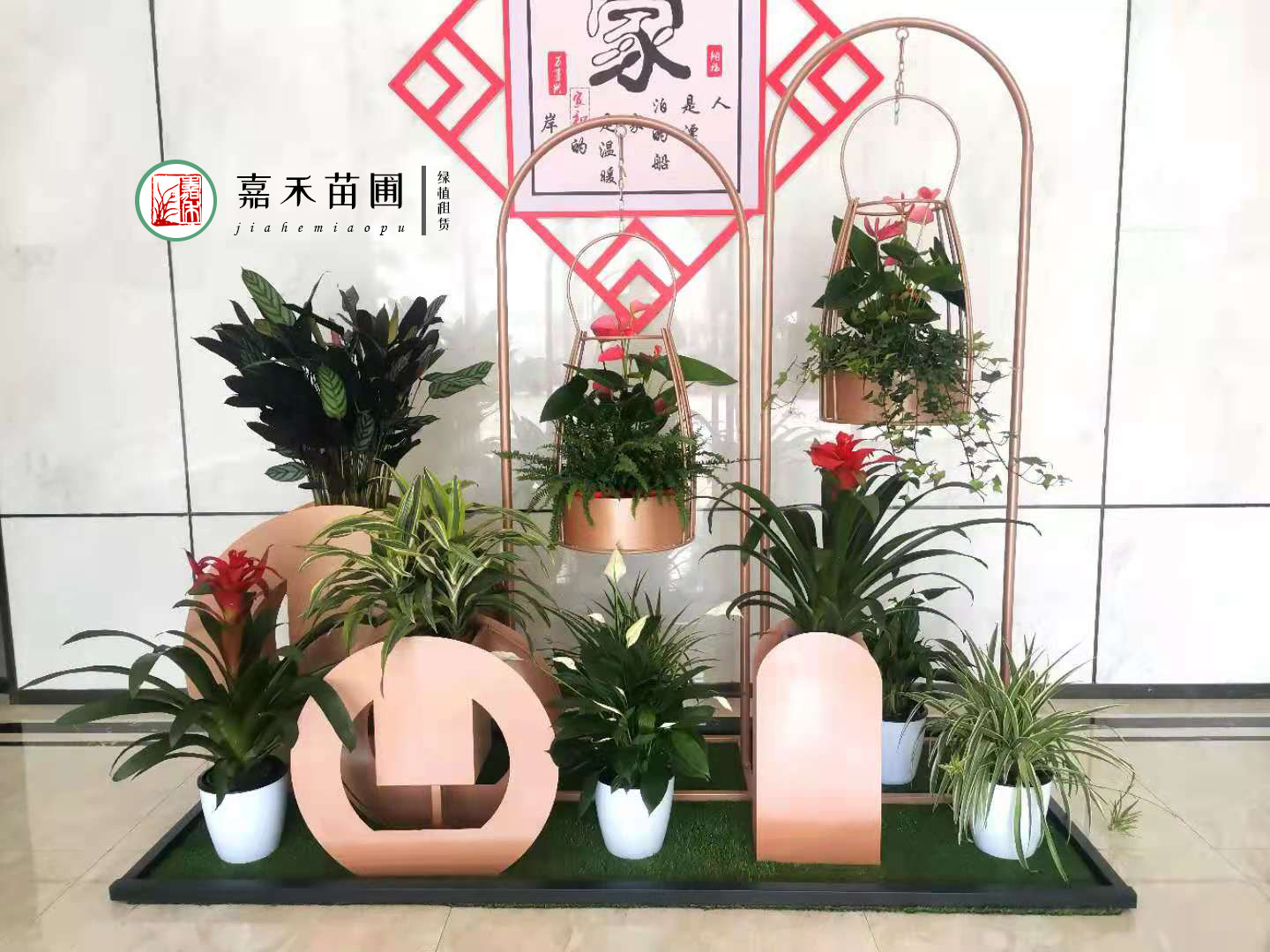 西安绿植租赁|嘉禾苗圃