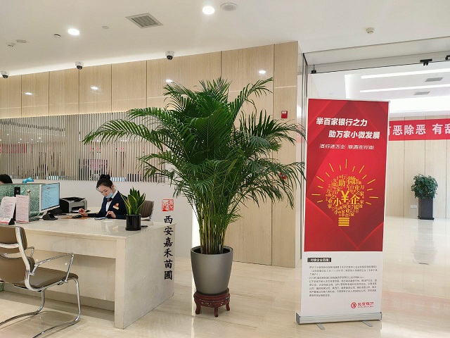 北京银行花卉绿植租摆|西安嘉禾苗圃