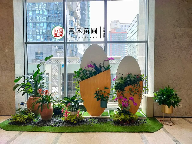 西安绿植花卉组合盆栽|西安嘉禾苗圃