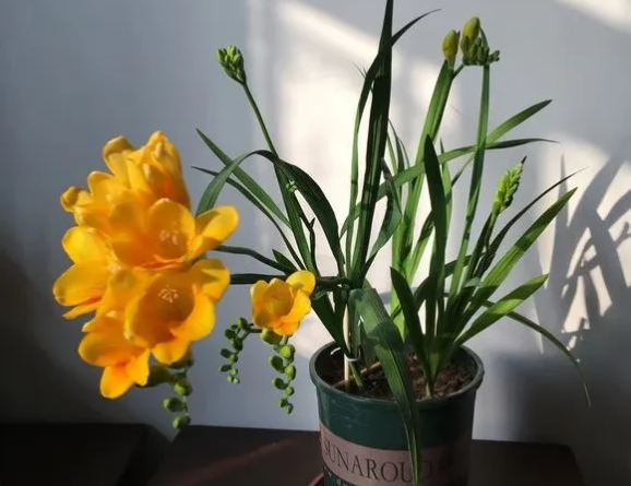 /UploadFiles/image/2025-11-27/6927afe781fa1.png QQ20251127-095503.png