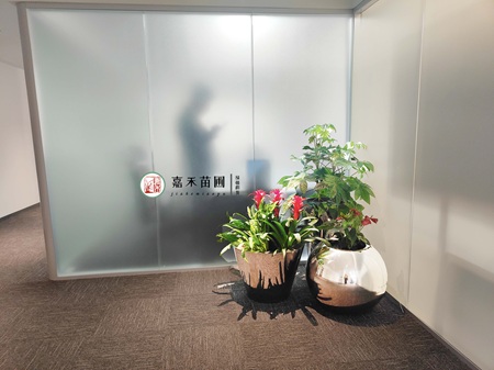 西安雁塔区绿植租摆推荐-西安嘉禾苗圃