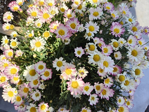 IMG20230609161350.jpg