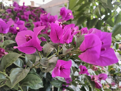 IMG20230609153541.jpg