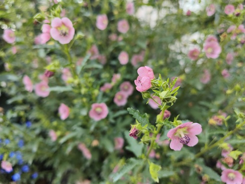 IMG20230609161429.jpg