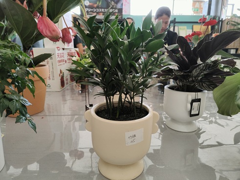 IMG20230609151511.jpg