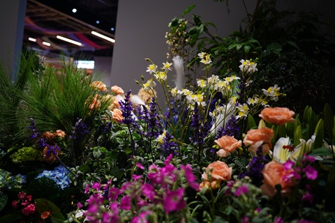 DSC03423.jpg